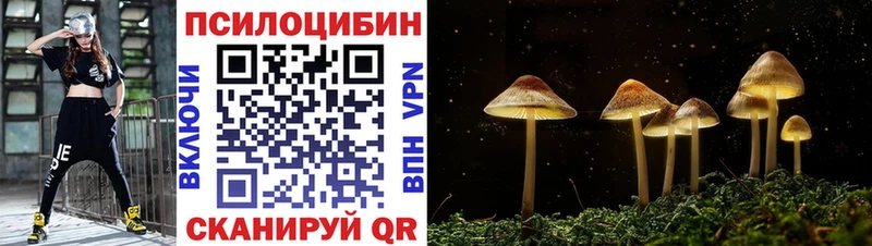 Купить где  Узловая  Псилоцибиновые грибы мицелий 